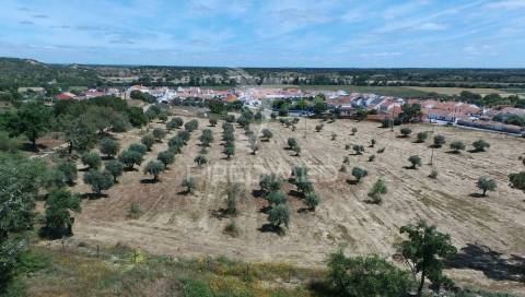 Terreno urbano e lote em são domingos