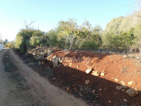 Ruina com vista rio e campo