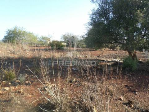 Ruina com vista rio e campo