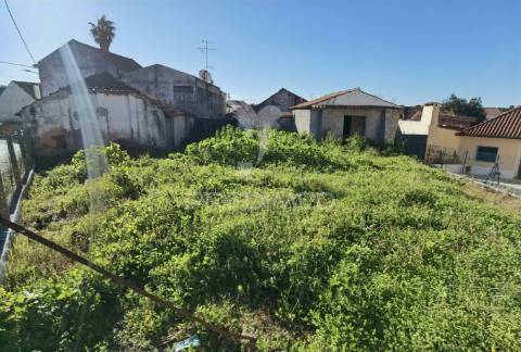 Casa de aldeia para restaurar com terreno