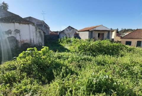 Casa de aldeia para restaurar com terreno