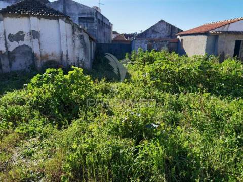 Casa de aldeia para restaurar com terreno