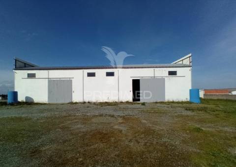 Armazém - zona industrial de alter do chão