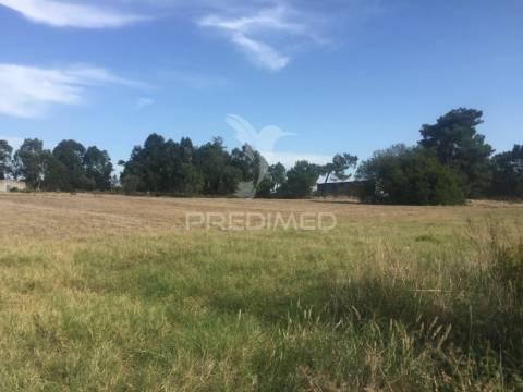 Quinta com 30000 m2 - samora correia