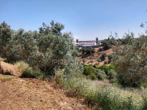 Terreno para construção- avis