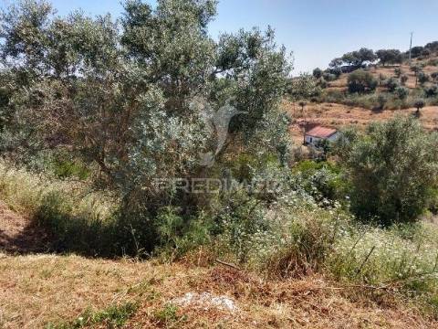 Terreno para construção- avis