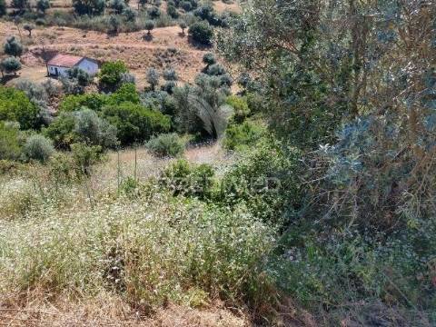 Terreno para construção- avis