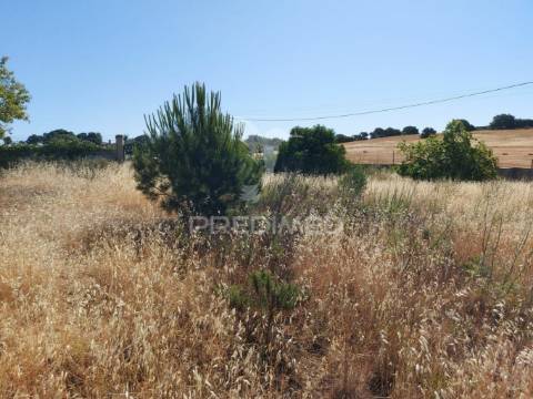 Terreno 14km de lagos 3330m2 totalmente delimitado com muro