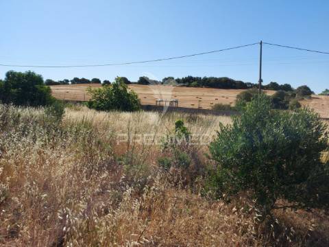 Terreno 14km de lagos 3330m2 totalmente delimitado com muro