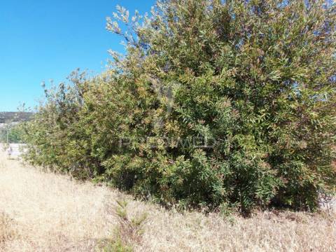 Terreno 14km de lagos 3330m2 totalmente delimitado com muro