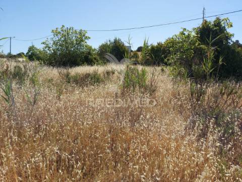 Terreno 14km de lagos 3330m2 totalmente delimitado com muro