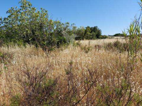 Terreno 14km de lagos 3330m2 totalmente delimitado com muro