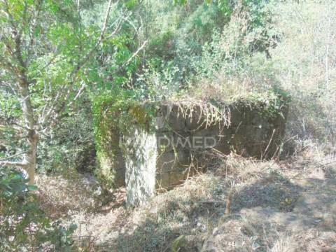 Moradia usada c/ 3 moinhos de roda em vila real