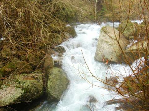 Moradia usada c/ 3 moinhos de roda em vila real