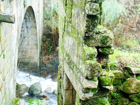 Moradia usada c/ 3 moinhos de roda em vila real