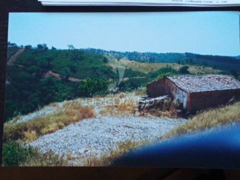 Monte alentejano com ruina para recuperar