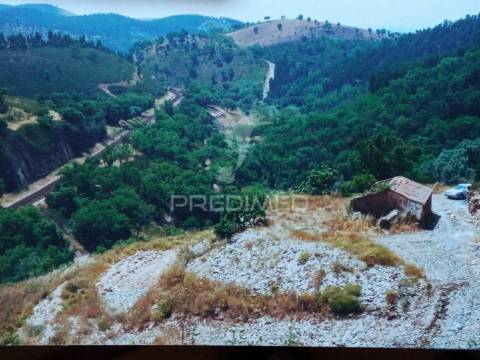 Monte alentejano com ruina para recuperar