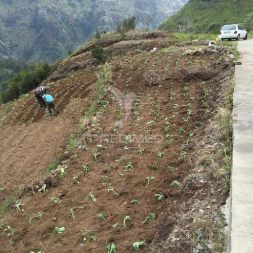 Terreno rústico 2.229m2 com 3 palheiros para recuperação