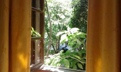 Alojamento local em casa senhorial com restaurante e loja individual