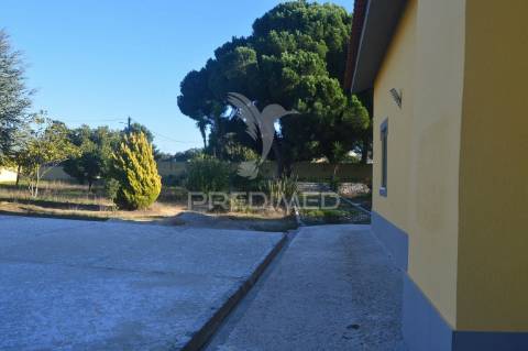 Quinta t16 em palmela