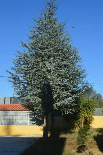 Quinta t16 em palmela