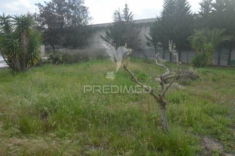 Quinta t16 em palmela