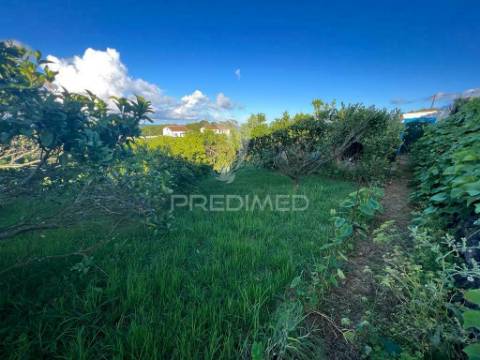 Terreno rústico