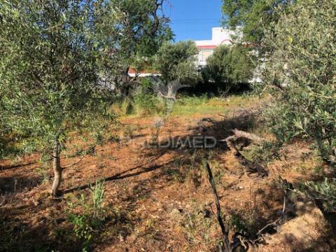 Terreno para construção de prédio