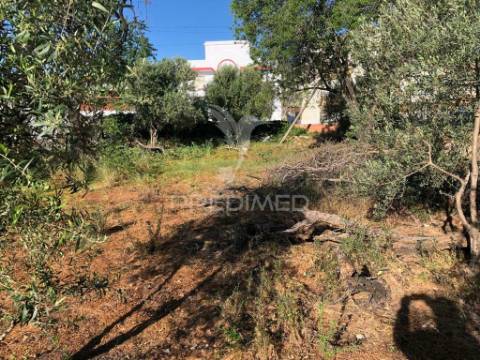 Terreno para construção de prédio