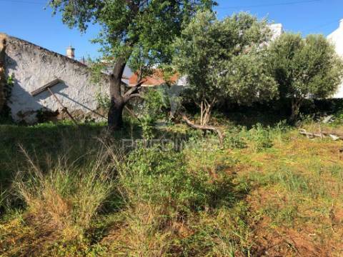 Terreno para construção de prédio