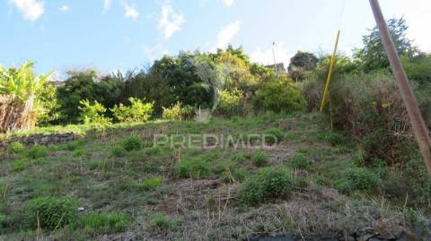 Terreno c/1500m2 no  funchal