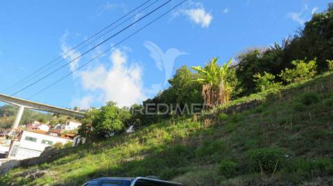 Terreno c/1500m2 no  funchal