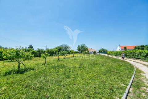 Excelente moradia/quinta a 10 minutos de setúbal