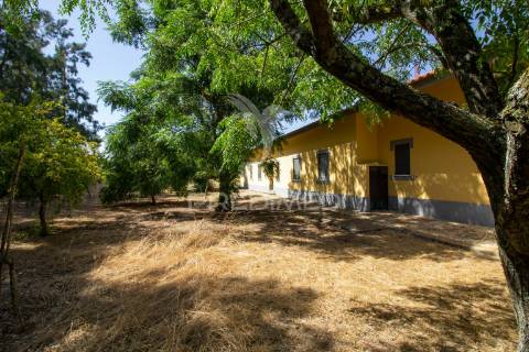 2 moradias geminadas