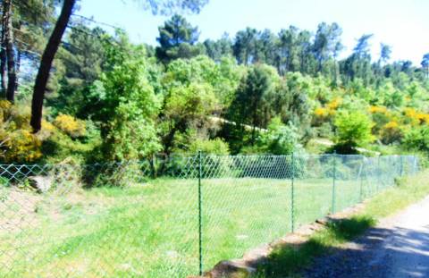 Terreno agrícola c/1,8 ha a 6 kms do centro de vila real 