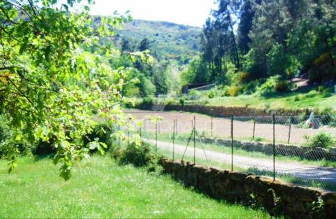 Terreno agrícola c/1,8 ha a 6 kms do centro de vila real 