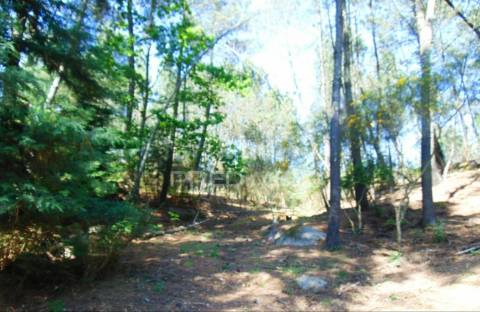 Terreno agrícola c/1,8 ha a 6 kms do centro de vila real 