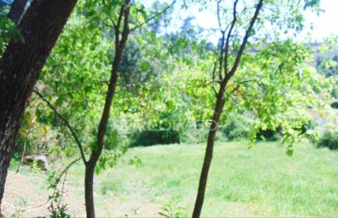 Terreno agrícola c/1,8 ha a 6 kms do centro de vila real 