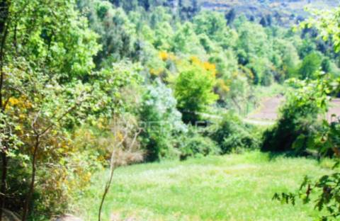 Terreno agrícola c/1,8 ha a 6 kms do centro de vila real 