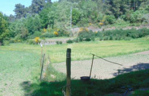 Terreno agrícola c/1,8 ha a 6 kms do centro de vila real 