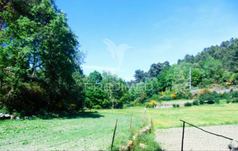 Terreno agrícola c/1,8 ha a 6 kms do centro de vila real 