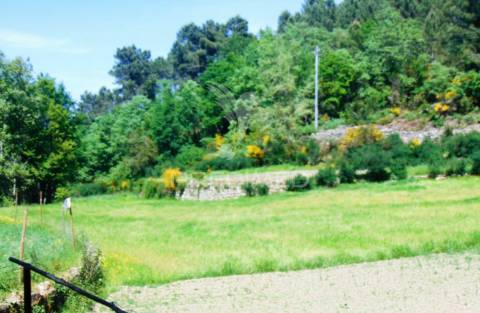 Terreno agrícola c/1,8 ha a 6 kms do centro de vila real 