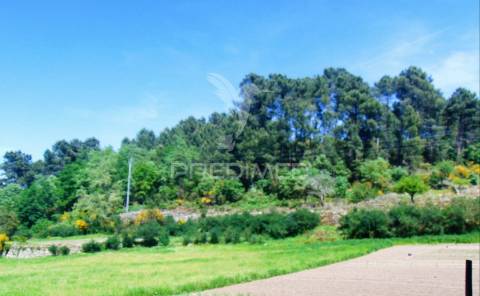 Terreno agrícola c/1,8 ha a 6 kms do centro de vila real 