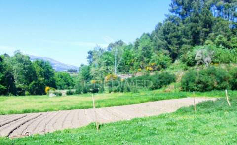 Terreno agrícola c/1,8 ha a 6 kms do centro de vila real 