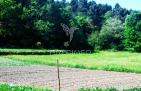 Terreno agrícola c/1,8 ha a 6 kms do centro de vila real 