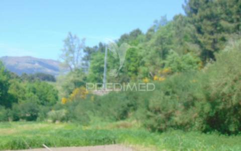 Terreno agrícola c/1,8 ha a 6 kms do centro de vila real 