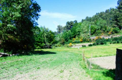Terreno agrícola c/1,8 ha a 6 kms do centro de vila real 