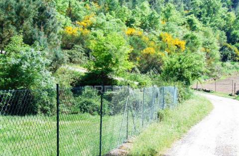Terreno agrícola c/1,8 ha a 6 kms do centro de vila real 