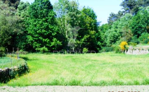 Terreno agrícola c/1,8 ha a 6 kms do centro de vila real 