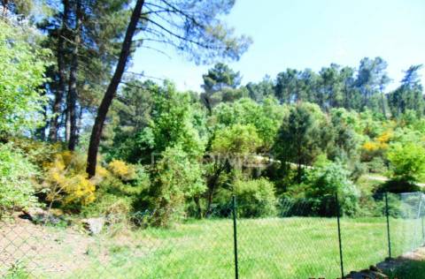 Terreno agrícola c/1,8 ha a 6 kms do centro de vila real 